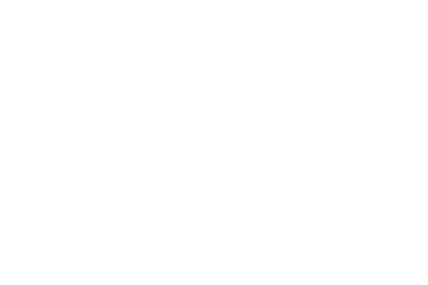 Hvit logo Faugstad Elektro